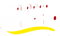 salgadomineiro